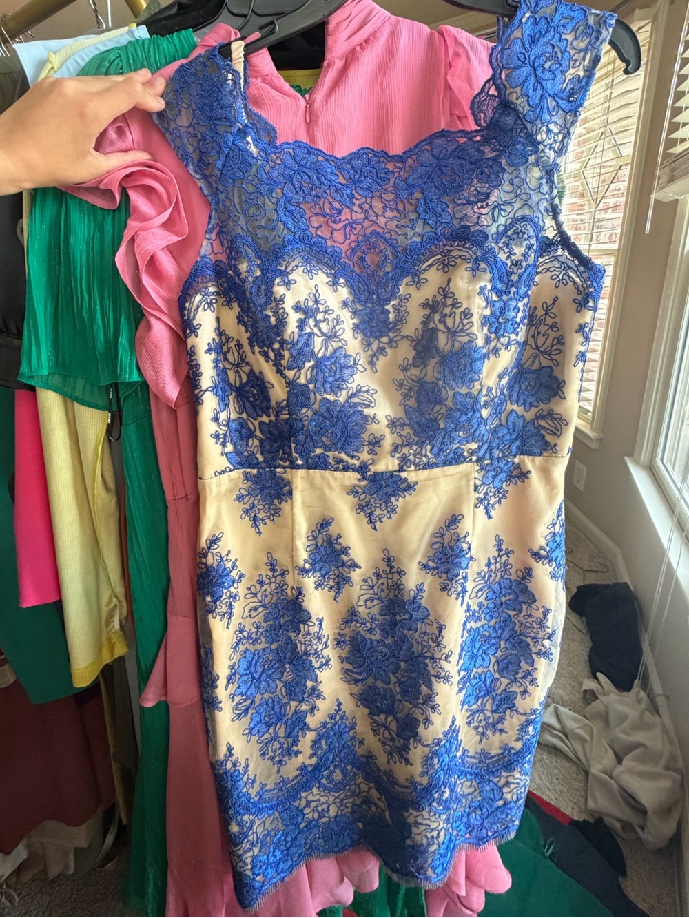 Royal Blue Lace Overlay Cocktail Dress on Cream